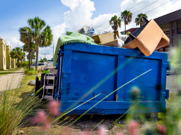 Best Electronics Removal Services  in Dillon, CO